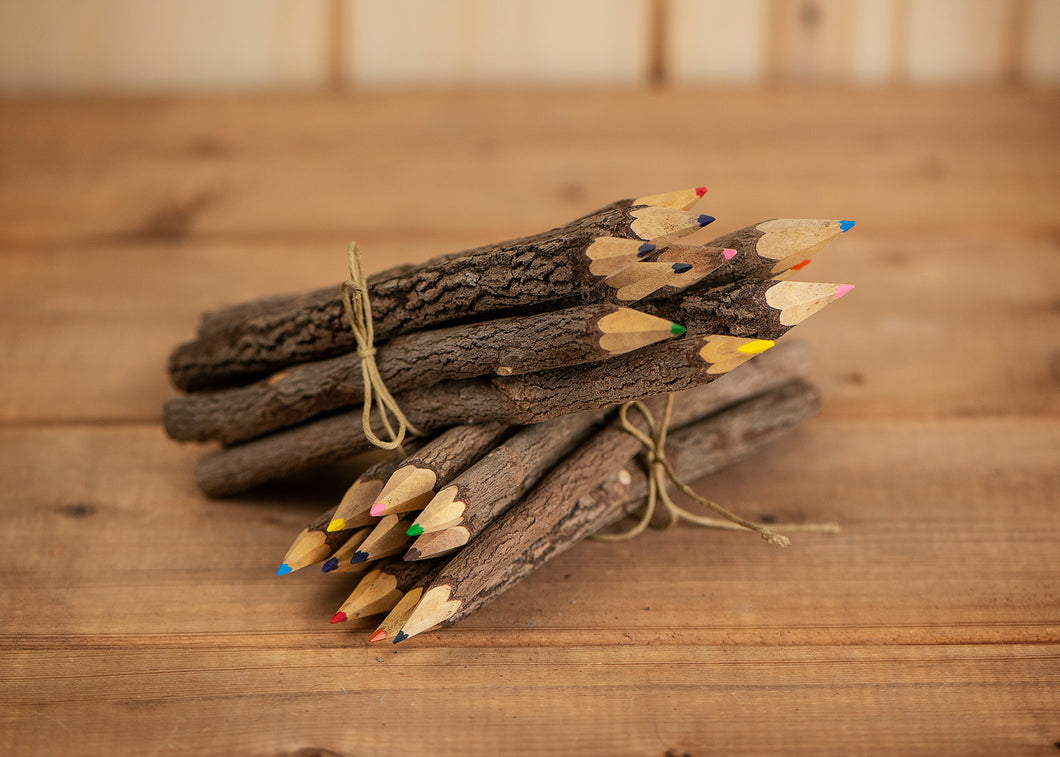 Coloured Twig Pencil Crayons - Large