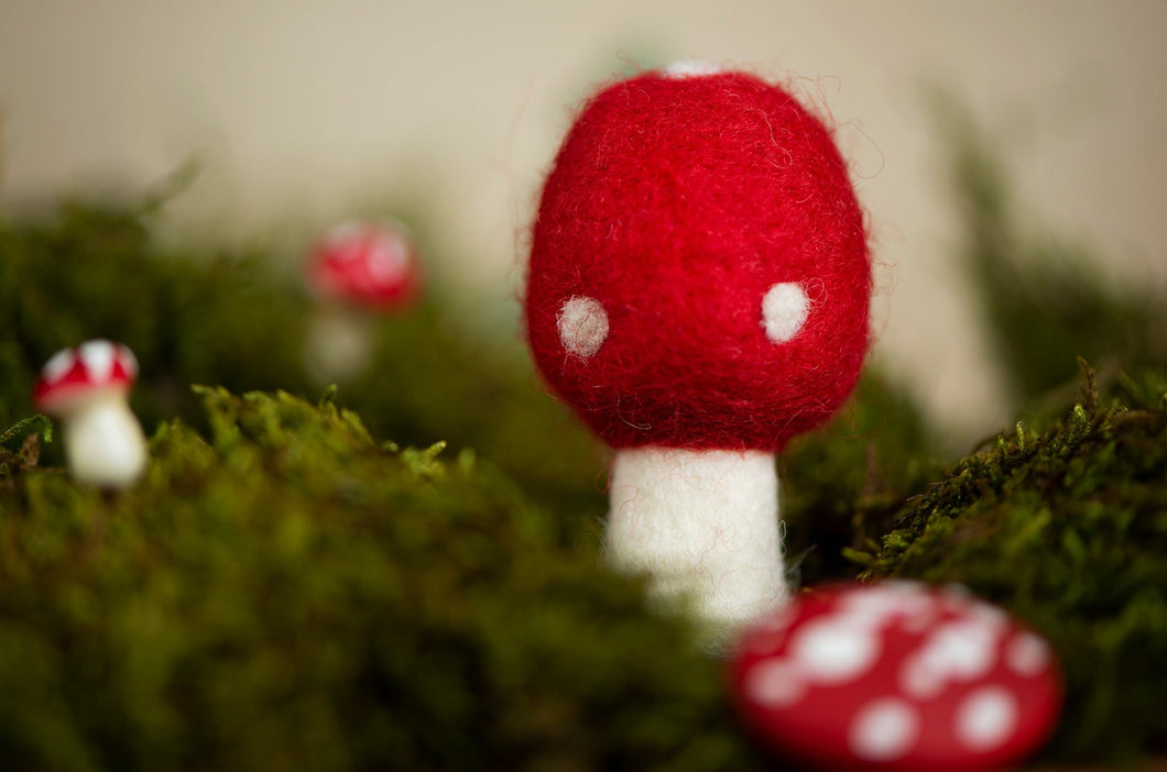 Felt Mushroom - Red