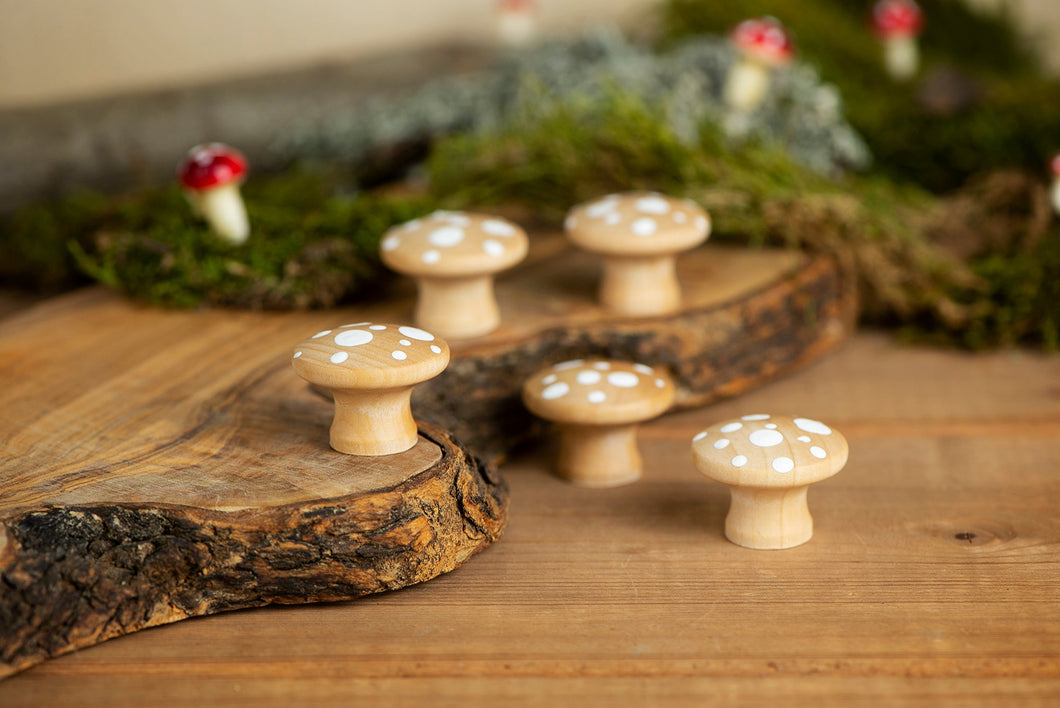 Mushroom Set - 5