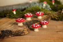 Load image into Gallery viewer, Mushroom Set - 5
