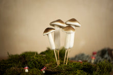 Load image into Gallery viewer, Foam Mushroom Picks
