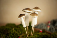 Load image into Gallery viewer, Foam Mushroom Picks

