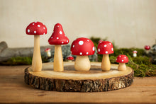 Load image into Gallery viewer, Fly Agaric Mushrooms

