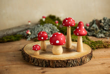Load image into Gallery viewer, Fly Agaric Mushrooms
