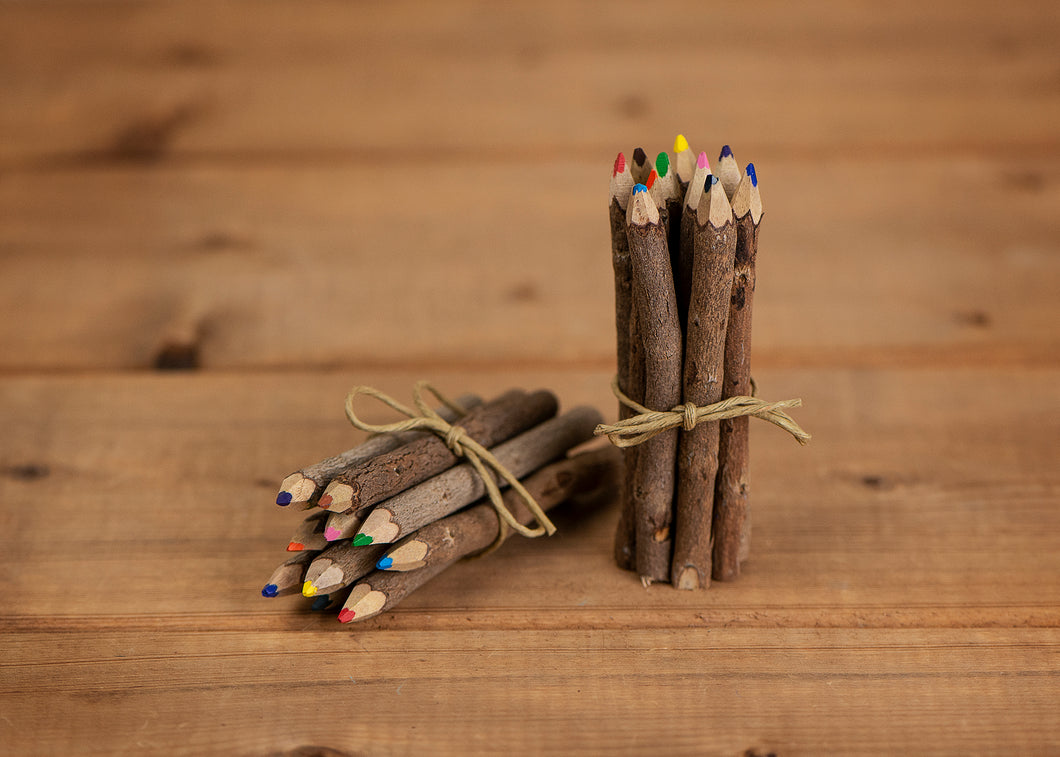 Coloured Twig Pencil Crayons - Small