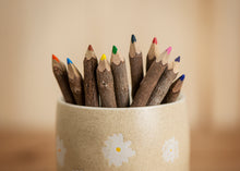 Load image into Gallery viewer, Coloured Twig Pencil Crayons - Small
