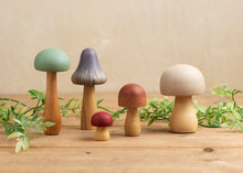 Load image into Gallery viewer, Nature Mushrooms
