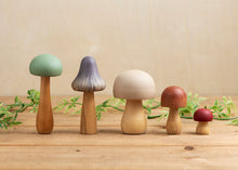 Load image into Gallery viewer, Nature Mushrooms
