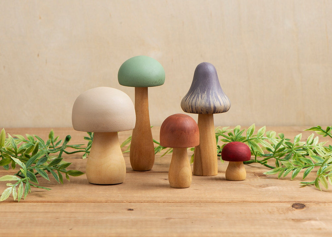 Nature Mushrooms