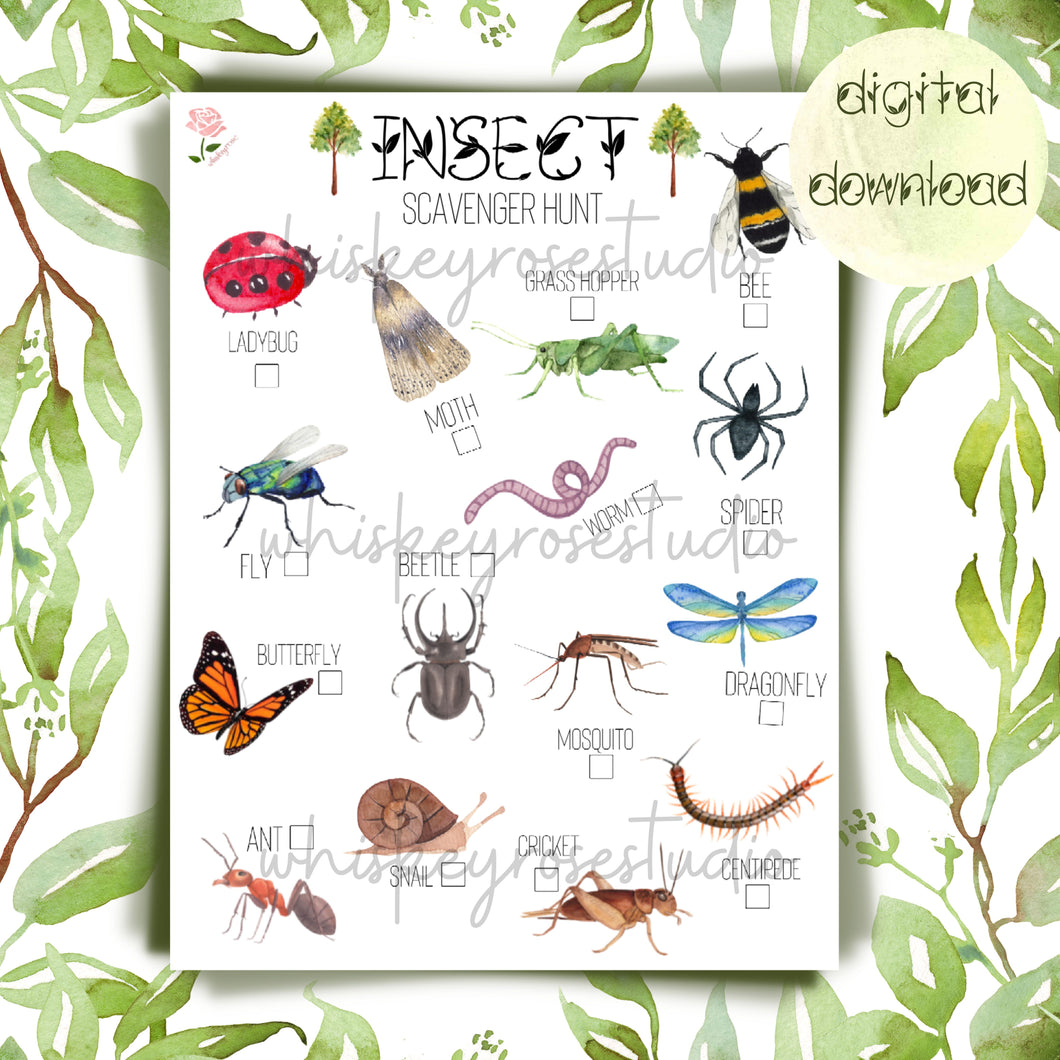 Insect Scavenger Hunt